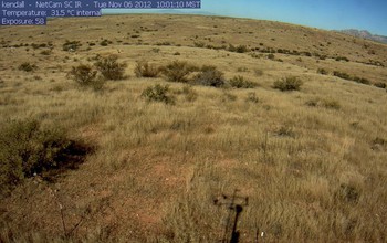 Winter at Kendall Grassland, viewed through the lens of PhenoCam.